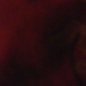 Meet your Posher, Whitney